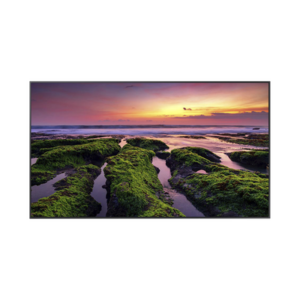 Pantalla Profesional LED de 55″, UHD 4K (3840x2160p), Entradas de Video HDM, Bocinas Integradas de 10 W. Compatible VESA