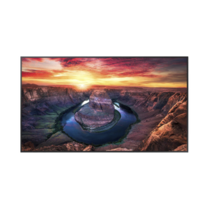 Pantalla Profesional LED de 65″, UHD 4K (3840x2160p), Entradas de Video HDMI/DisplayPort, Bocinas Integradas de 10 W. Compatible VESA. Modo de Simulación DICOM