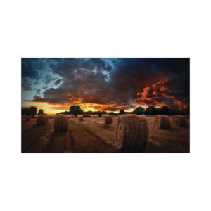 Pantalla Profesional LED de 55″ para Video Wall, Full HD (1080p), HDMI/DVI-D/DP, Bisel Ultra Delgado de 2.3mm. Compatible VESA